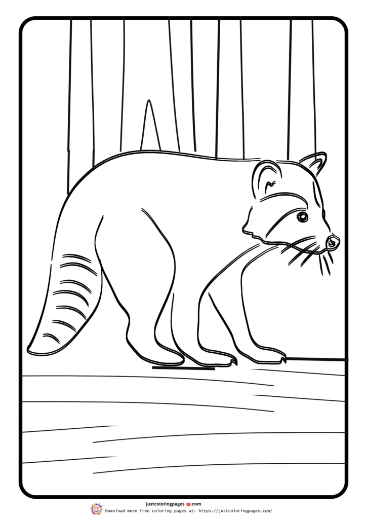 A black and white line drawing of a raccoon
