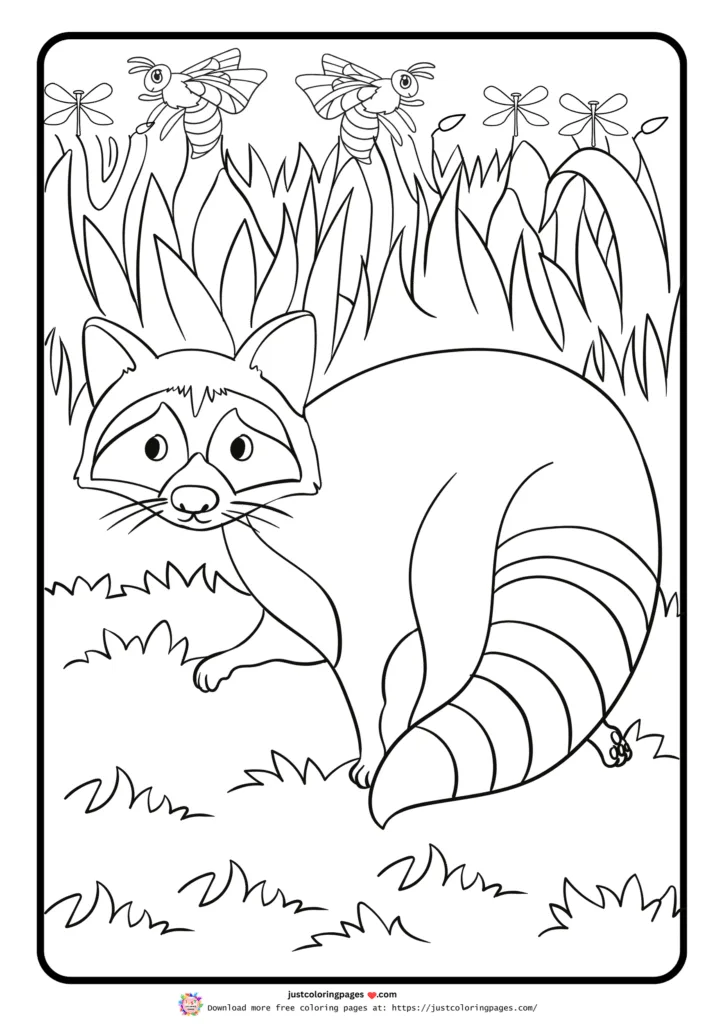 Raccoon coloring sheet